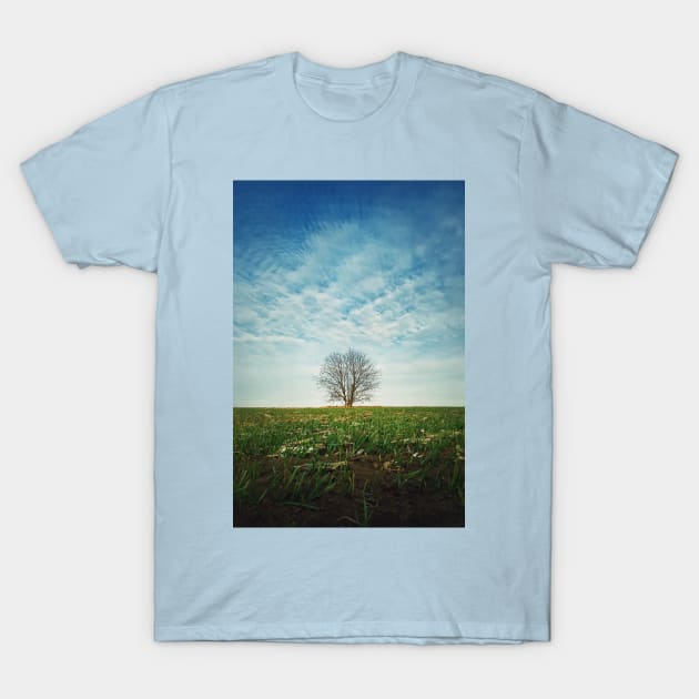 a tree in the spring field T-Shirt by psychoshadow